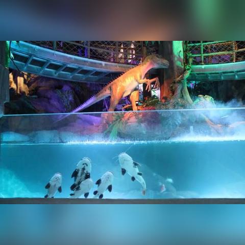 找游戏（探索游戏世界的奥秘，如何找到心仪的游戏）