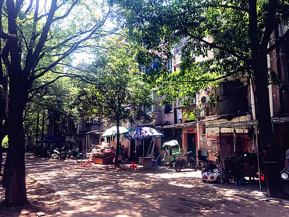 美食类考什么大学（大学门口适合卖什么小吃）