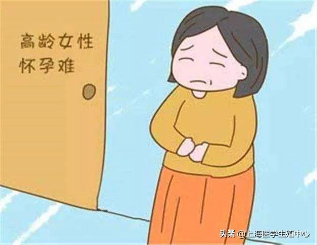 高龄女性试管婴儿一次取多少卵合适