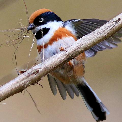 广州国庆出发相关长尾关键词有哪些
