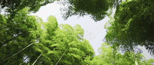小暑节气图片说说2019