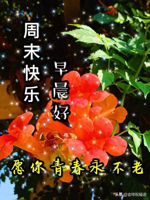 2020十二月早安温馨祝福合集