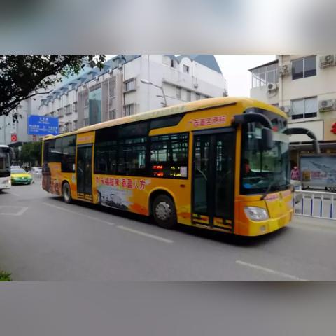 桂林公交用什么码支付相关长尾关键词有哪些