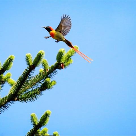 去西藏做什么生意好的长尾关键词有什么