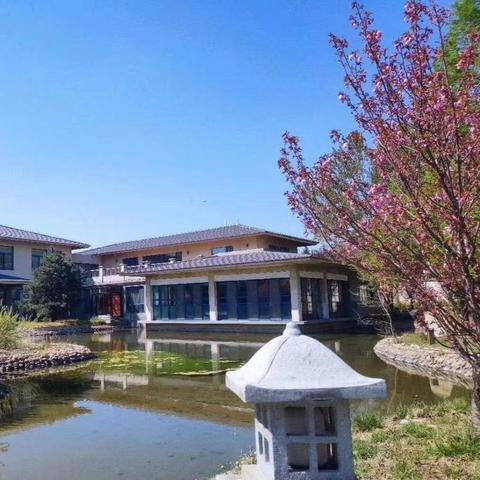 杭州市九华山庄在哪个区