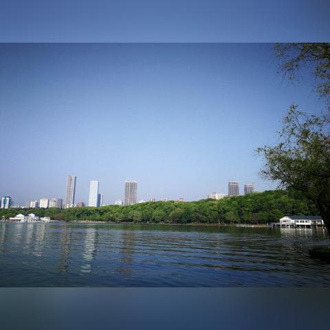 长沙市市直属中学有哪些？