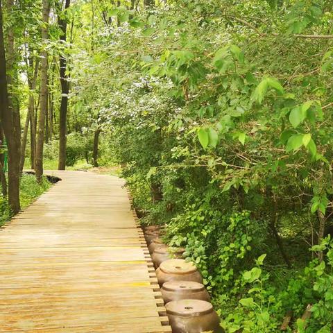 宁波天鸟园的相关长尾关键词有哪些