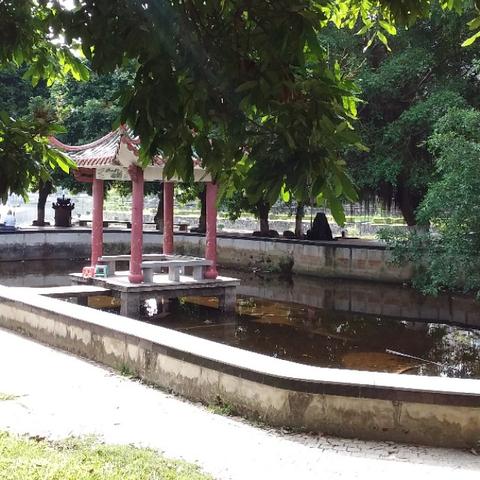 福建省漳州市分别有哪几个县？