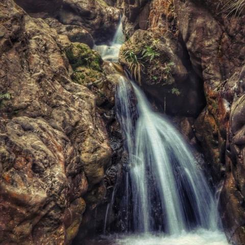 东莞市茶山生态园在哪里