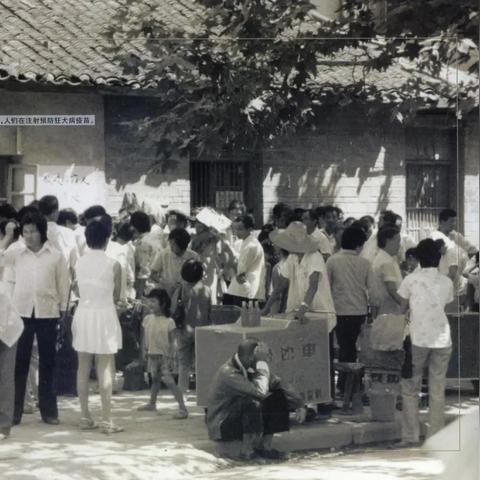 合肥市防疫站在什么地方