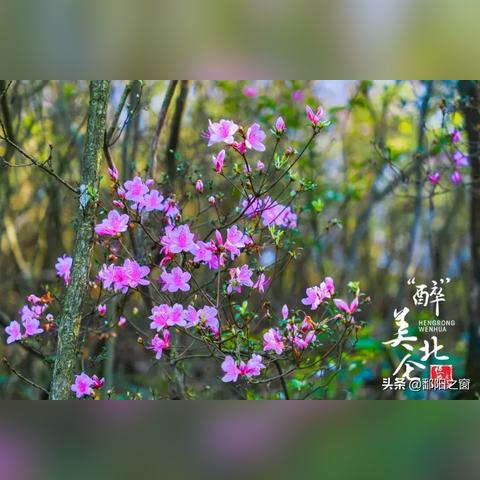 游步道宁波的相关长尾关键词有哪些