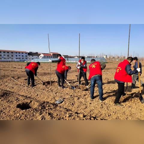 河南哪个市可以种树