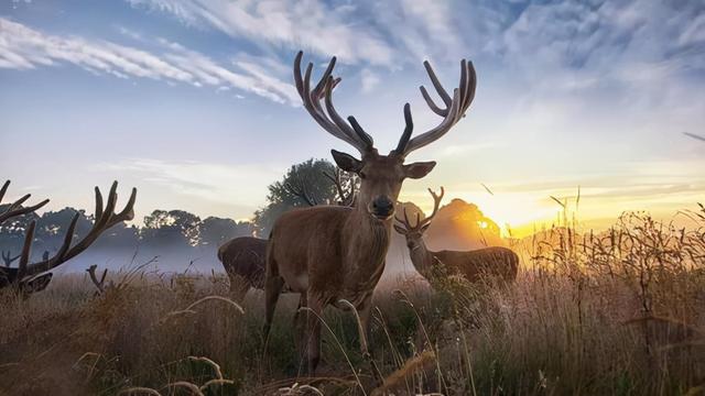 有哪些不像成语的成语 有哪些不像成语的成语