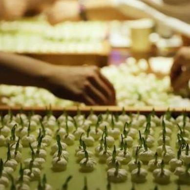 河南汝瓷怎么样