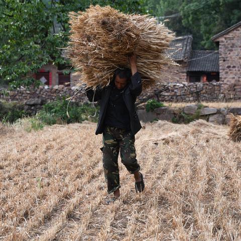 河南最后一次分地哪一年？