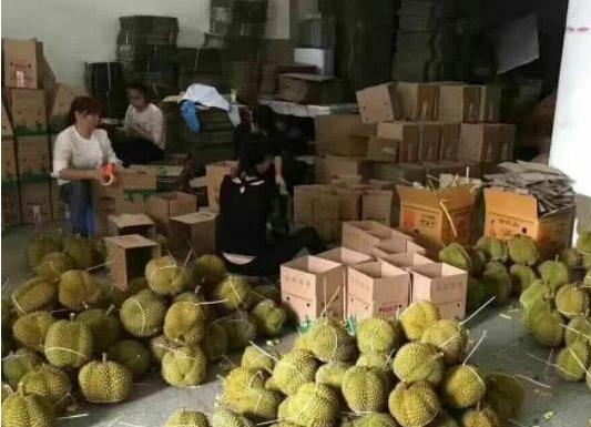 自救止损！外贸公司千吨果蔬因禁止出口滞销，两天内全部低价售出
