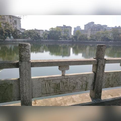 桂林市钓鱼证哪里办好些