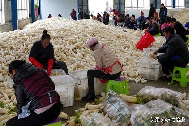 卖什么美食挣钱少（想摆摊做什么比较好）
