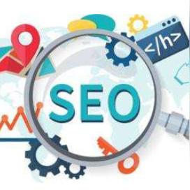 seo网站可以优化吗