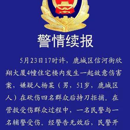 温州市副市长杨的长尾关键词有哪些