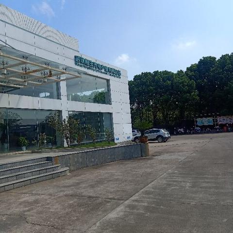 湖北的武汉市哪个区最好