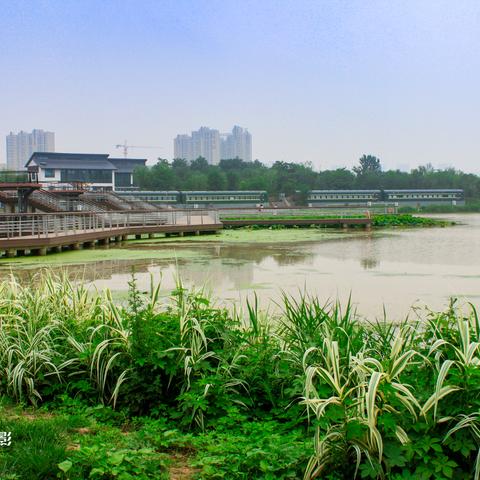 西安市桃花潭骑车怎么去