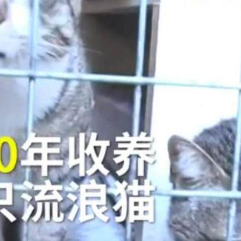 沈阳一月花销相关长尾关键词有哪些