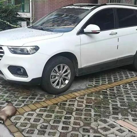 济南汽车天窗改装相关长尾关键词有哪些