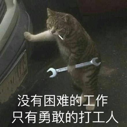 早安打工人经典语录