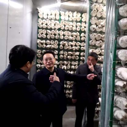 天津市和平区属于哪个镇