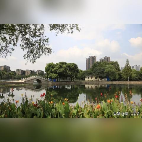武昌紫阳湖公园公交站点？