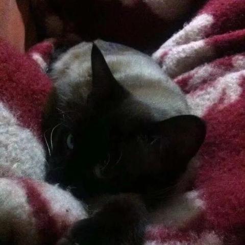 杭州市余杭区刀毛弄在哪个街道