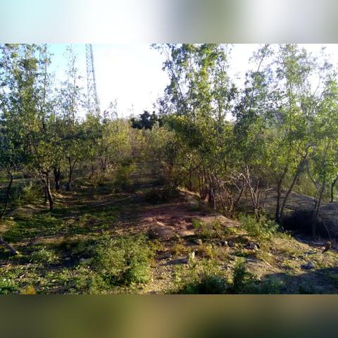 石家庄市生态局地址的长尾关键词有哪些