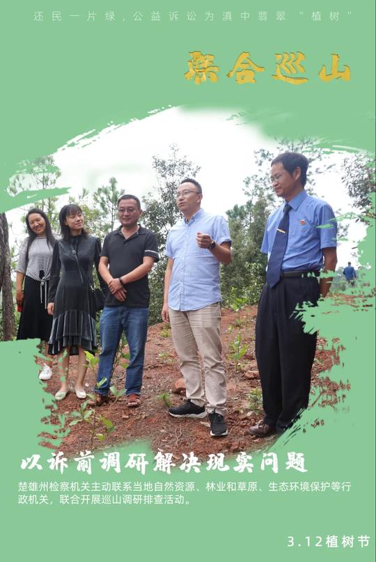 公益诉讼为“滇中翡翠”植树造林
