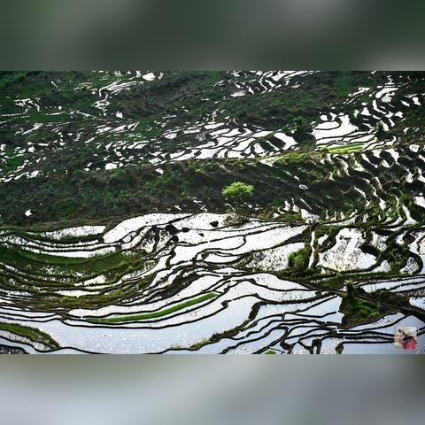 厦门旅游住宿哪里好的相关长尾关键词有哪些