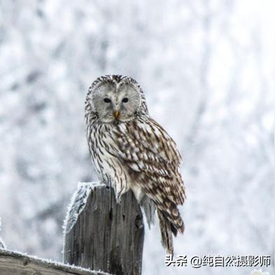 河南省高校教师的相关长尾关键词有哪些