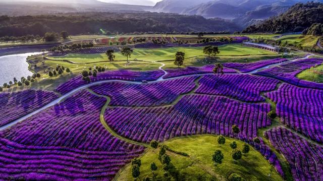 【2020年5月1日放假几天
 /2020年5月1日放假几天3倍工资】