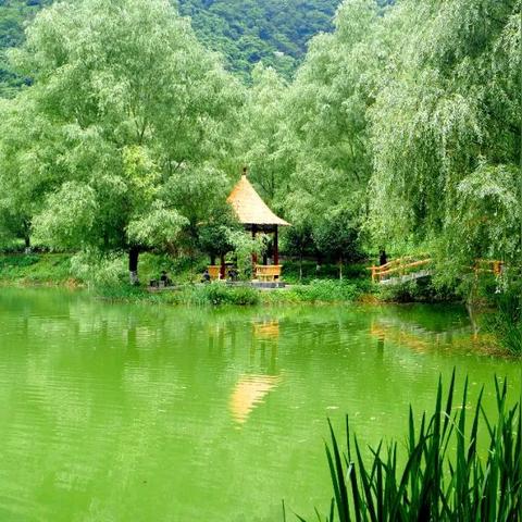柳荫公园天气预报的长尾关键词有哪些