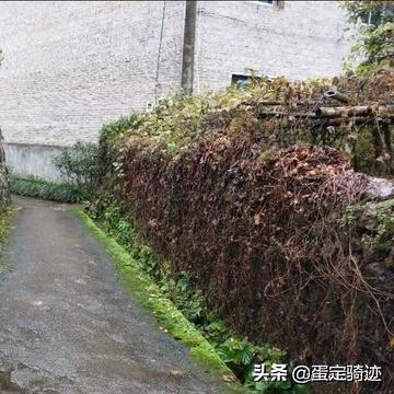 下雨天的桂林能去哪边玩？