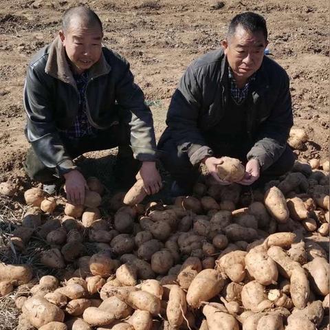 保定市易购商城的长尾关键词有哪些