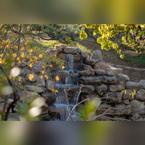 足球公园游戏怎么玩儿的