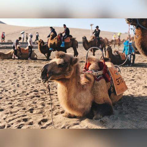 兰州地区空气含氧量？