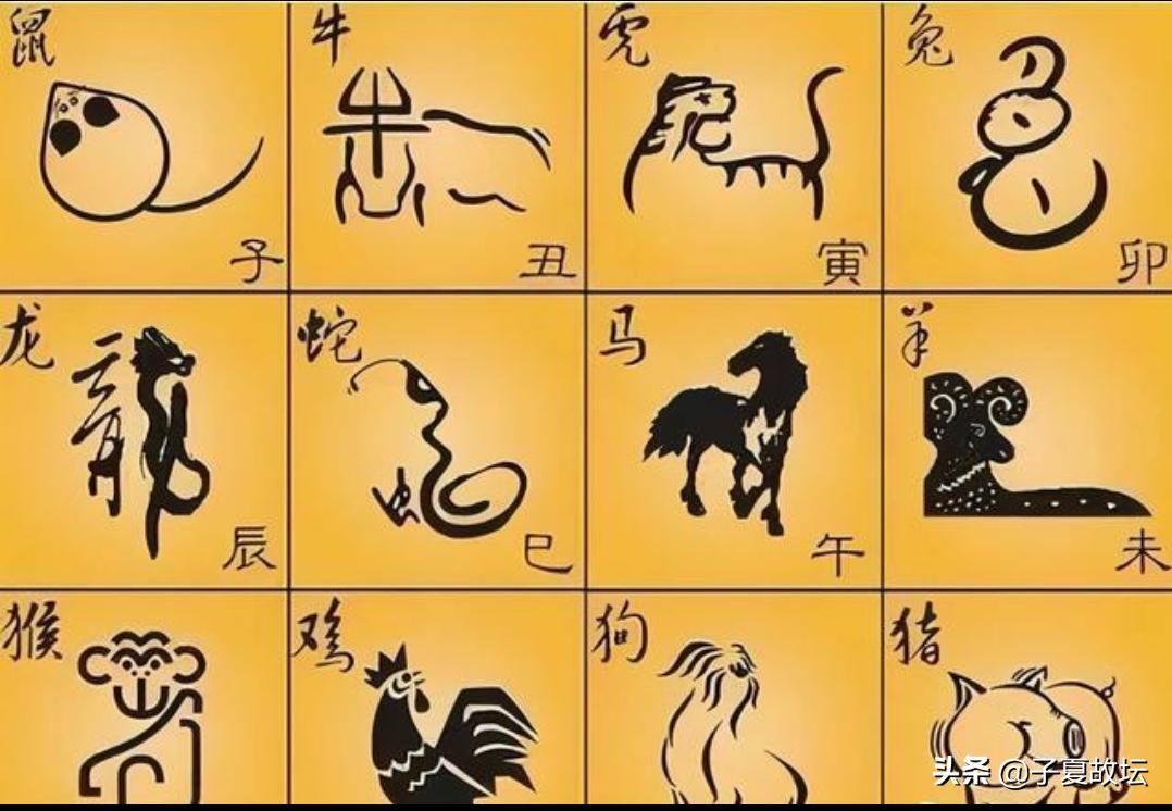 虎宝宝辰时起名名字好吗,2022虎年虎月虎日是哪天