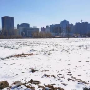 石家庄市棚改专项债的长尾关键词有哪些