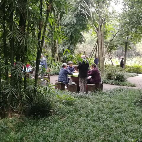 成都市内旅游住哪里方便