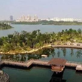 合肥市山里人口有多少万