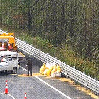 杭州市为什么发不了货