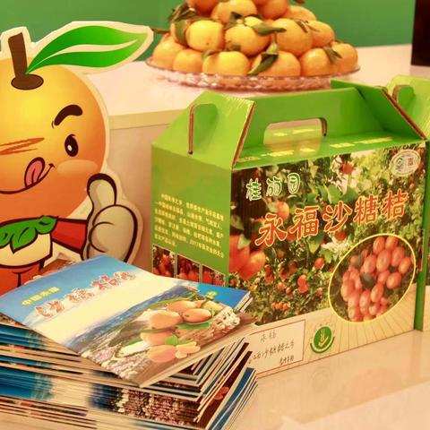 桂林蔬菜收购电话多少相关长尾关键词有哪些