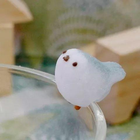 雪景拍照姿势大全图片的长尾关键词有哪些