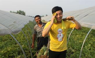 农业创业该优先选择哪些项目呢？